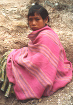 Tarahumara nahe Creel